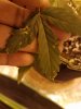 20180412_074847.jpg