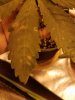 20180412_074856.jpg
