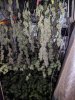 IMG_20180415_025959.jpg