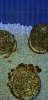 C3933DA5-0658-4206-BA39-3802C8D396FD.jpeg