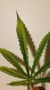 20180413_230045.jpg 20180413_230045.jpg