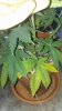 20180415_081558.jpg