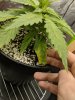 IMG_20180415_213220.jpg