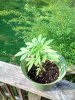 IMG_20180413_084335.jpg