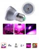 A4D90CB0-9121-46D5-A892-F407D6A9BA11.jpeg