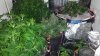 20180412_194854.jpg 20180412_194854.jpg