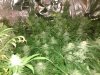 IMG_20180422_104222667.jpg