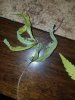 20180423_150315.jpg