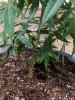 MVIMG_20180424_185247.jpg