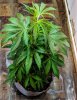 MVIMG_20180422_083237.jpg