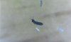 78BAD84E-DB21-4BAC-8C28-75AE41F345D3.jpeg