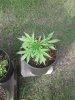 20180427_181927.jpg