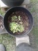 20180427_181922.jpg