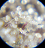 20180428-dosidos-05.png