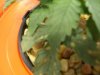 Grow 2 4 U 011.jpg