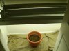 grow room 002.jpg