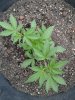 20180501_130842.jpg