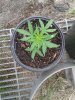 20180501_130847.jpg