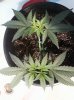 20180502_073419.jpg