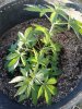 20180505_191658.jpg