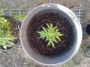 20180505_191629.jpg