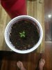 IMG_20180506_205402.jpg
