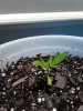 20180507_131852.jpg