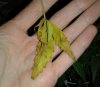 20180507_223831.jpg 20180507_223831.jpg