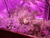 20180509_121616.jpg