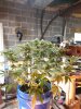 20180510_110722.jpg