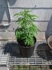 20180509_151828.jpg