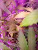 20180511_120654.jpg