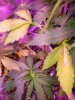 20180511_120718.jpg