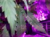20180511_120750.jpg
