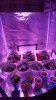 2018-05-04 06.52.46.jpg