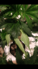 Screenshot_20180512-223117.png
