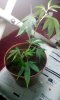 IMG-20180512-WA0000.jpeg