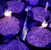 20180514_005330.jpg