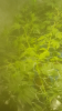 Screenshot_20180514-074006.png Screenshot_20180514-074006.png