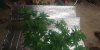 20180515_083729.jpg