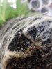 20180515_172514.jpg