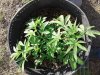 20180508_183045.jpg
