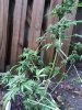 20180515_182832.jpg