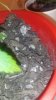 20180516_180313.jpg 20180516_180313.jpg
