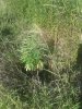 20180518_181755.jpg