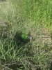20180518_181800.jpg