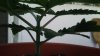 20180520_165123.jpg