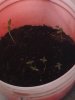 20180518_153439.jpg