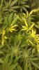 20180521_092624.jpg
