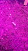 8633265B-8D58-4A32-8611-BEAC430DB16D.png